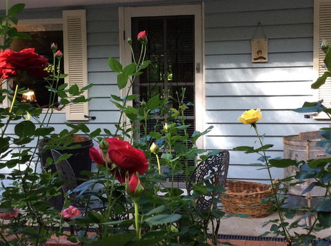 Aldgate Valley Bed And Breakfast - Surfers Paradise Gold Coast 31