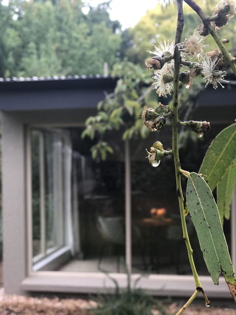 Adelaide Hills Retreats - Surfers Paradise Gold Coast 9