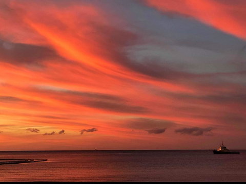 Wallaroo Beachfront Tourist Park - Surfers Paradise Gold Coast 4