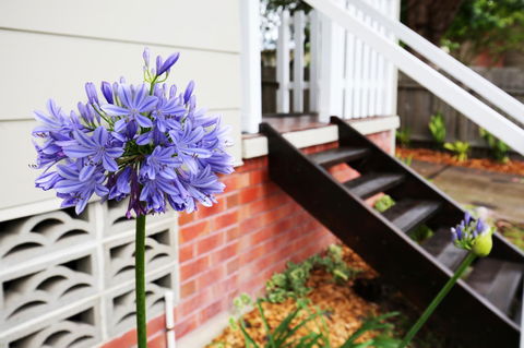 Hudson Bay @ Basin View-Pet Friendly-15 Mins To Hyams Beach - Surfers Paradise Gold Coast 38