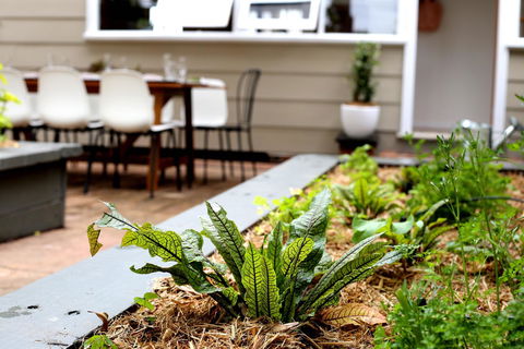 Hudson Bay @ Basin View-Pet Friendly-15 Mins To Hyams Beach - Surfers Paradise Gold Coast 39