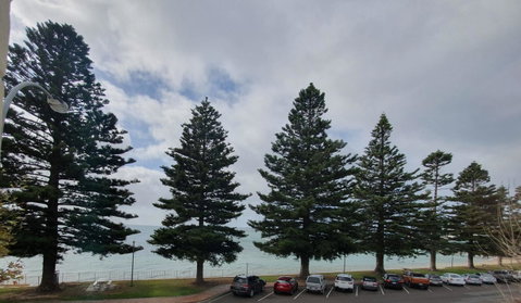 Pier Hotel Port Lincoln - Surfers Paradise Gold Coast 12