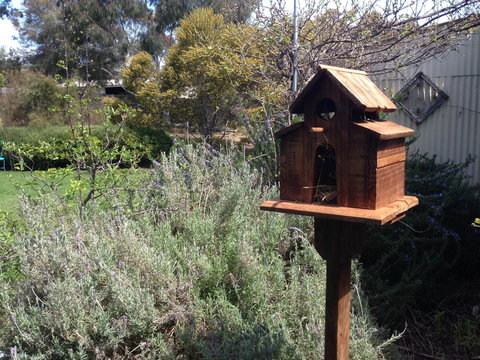 Jack\'s House B&B Clare - Surfers Paradise Gold Coast 6