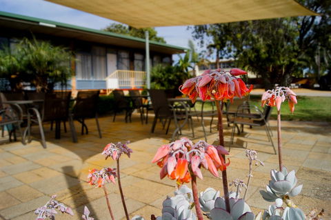 Kangaroo Island Seaview Motel - Surfers Paradise Gold Coast 3