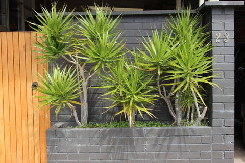 My Port Lincoln Place - Surfers Paradise Gold Coast 23