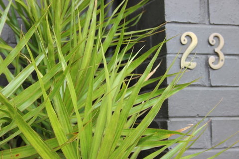 My Port Lincoln Place - Surfers Paradise Gold Coast 17