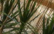 My Port Lincoln Place - thumb 22