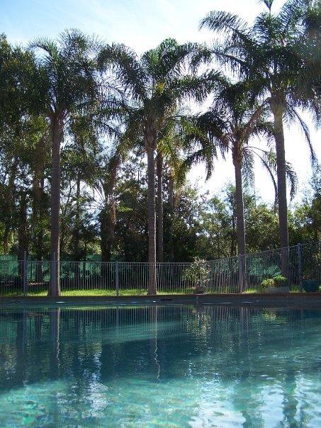 Abcot Inn - Surfers Paradise Gold Coast 21