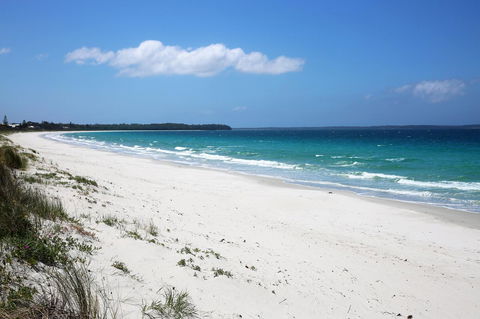 Wildwood I Pet Friendly I 5 Mins To Beach - Surfers Paradise Gold Coast 14