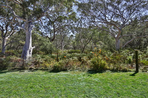 Wildwood I Pet Friendly I 5 Mins To Beach - Surfers Paradise Gold Coast 17
