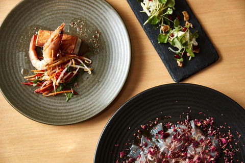 Rydges Newcastle - Surfers Paradise Gold Coast 23