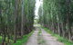 Back Valley Farmstay Bed And Breakfast - thumb 2
