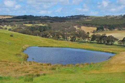 Back Valley Farmstay Bed And Breakfast - Surfers Paradise Gold Coast 19