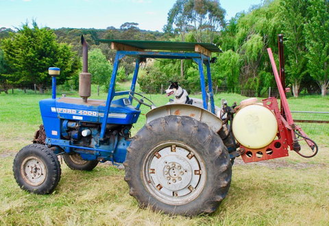 Back Valley Farmstay Bed And Breakfast - Surfers Paradise Gold Coast 14