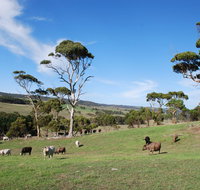 Lisieux Farm Bed and Breakfast - Surfers Paradise Gold Coast
