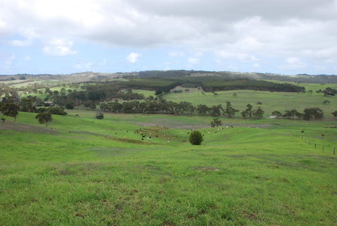 Back Valley Farmstay Bed And Breakfast - Surfers Paradise Gold Coast 15