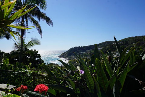 WategosRent - Surfers Paradise Gold Coast 6