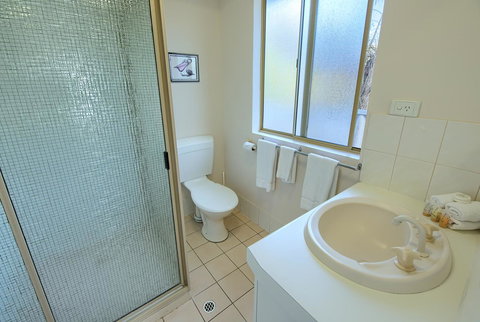 Pelicans Albany Middleton Beach - Surfers Paradise Gold Coast 33