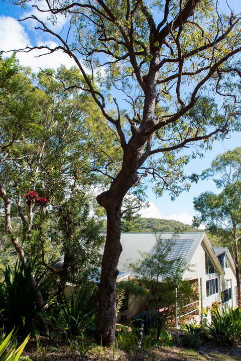 Nelson Bay Bed & Breakfast - Surfers Paradise Gold Coast 42