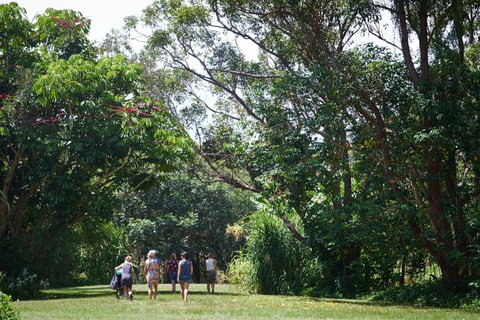 Ingenia Holidays Byron Bay - Surfers Paradise Gold Coast 11