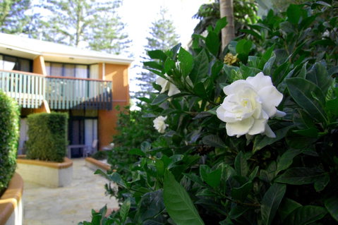 The Crest Byron Bay - Surfers Paradise Gold Coast 29