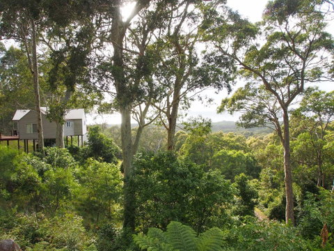Bundle Hill Cottages - Surfers Paradise Gold Coast 22