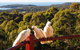 Bundle Hill Cottages - thumb 2