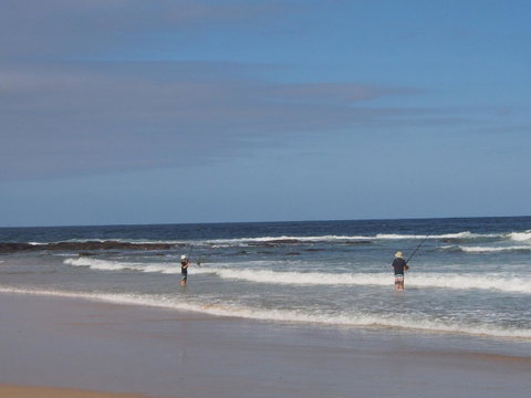 Bundle Hill Cottages - Surfers Paradise Gold Coast 10