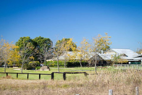 Potters Apartments - Surfers Paradise Gold Coast 26