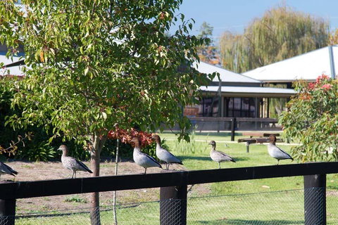 Potters Apartments - Surfers Paradise Gold Coast 25