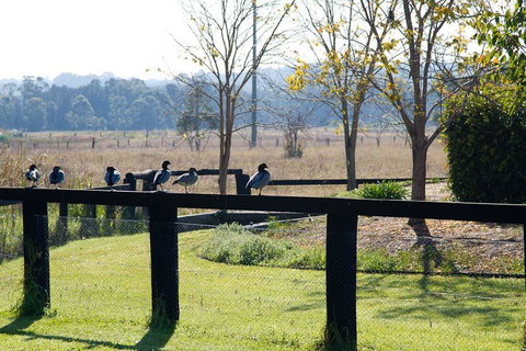 Potters Apartments - Surfers Paradise Gold Coast 24