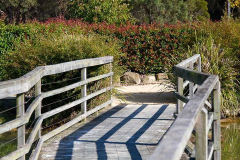 Potters Apartments - Surfers Paradise Gold Coast 10