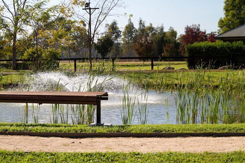 Potters Apartments - Surfers Paradise Gold Coast 23