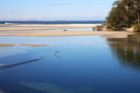 Jervis Bay Beach Shack I Pet Friendly - Surfers Paradise Gold Coast 19