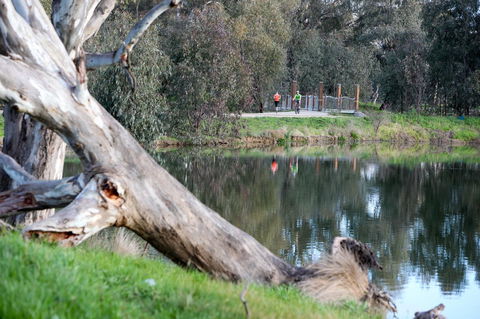 Mercure Albury - Surfers Paradise Gold Coast 15