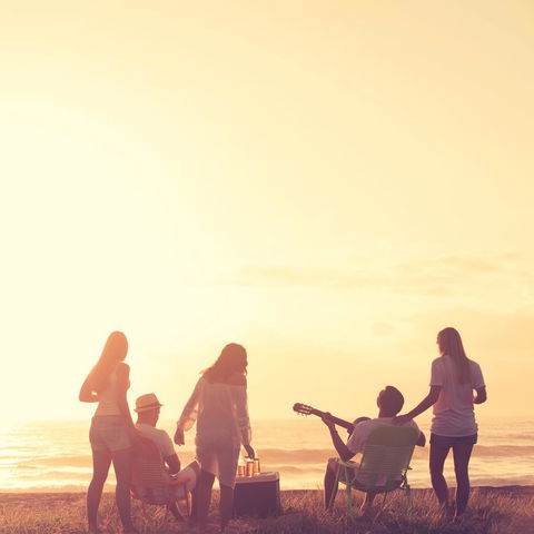 Birubi Beach Holiday Park - Surfers Paradise Gold Coast 1