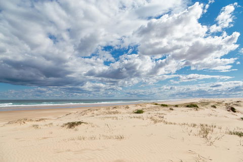 Birubi Beach Holiday Park - Surfers Paradise Gold Coast 37