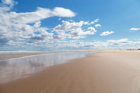 Birubi Beach Holiday Park - Surfers Paradise Gold Coast 41