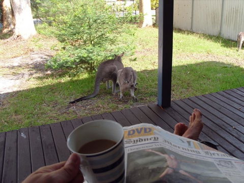 Bush & Bay Cottage - Surfers Paradise Gold Coast 29
