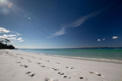 Bush & Bay Cottage - Surfers Paradise Gold Coast 24