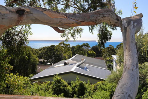 Seaglass - Stunning Views Of Jervis Bay - Surfers Paradise Gold Coast 26