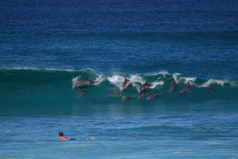 Glen Villa Resort - Surfers Paradise Gold Coast 18