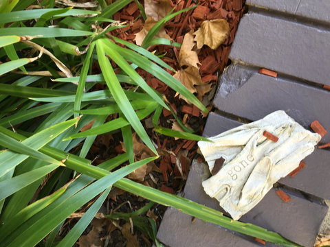 Quest St Leonards - Surfers Paradise Gold Coast 22