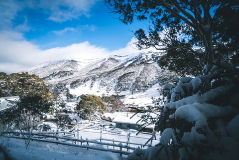 Pure Chalet Thredbo - Surfers Paradise Gold Coast 31