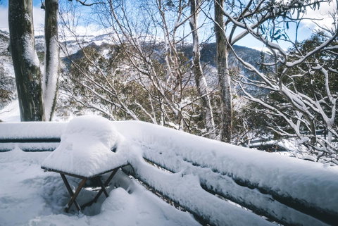 Pure Chalet Thredbo - Surfers Paradise Gold Coast 19