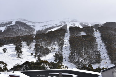 Pure Chalet Thredbo - Surfers Paradise Gold Coast 6