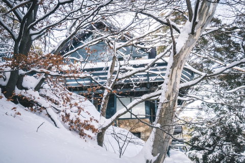 Pure Chalet Thredbo - Surfers Paradise Gold Coast 27