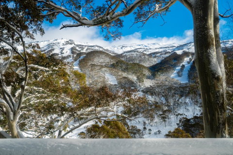 Pure Chalet Thredbo - Surfers Paradise Gold Coast 17