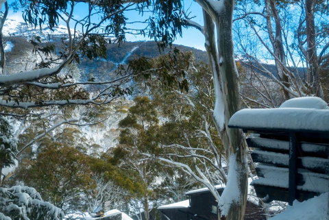 Pure Chalet Thredbo - Surfers Paradise Gold Coast 30