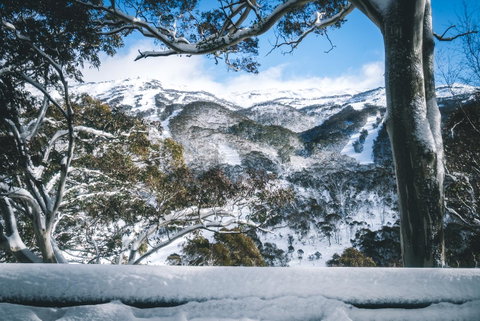 Pure Chalet Thredbo - Surfers Paradise Gold Coast 2